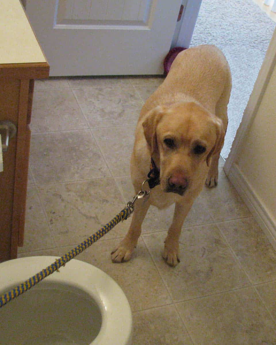 A Toilet Puller?